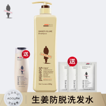 Adolf anti-hair shampoo Shampoo Ginger specializes in ginger juice shampoo Shampoo Conditioner 800g 800g large bottles