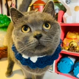 Слюнявчик, шарф, шейный платок, чокер, аксессуар