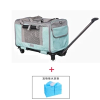 Синий чемодан, 50см, 5 штук