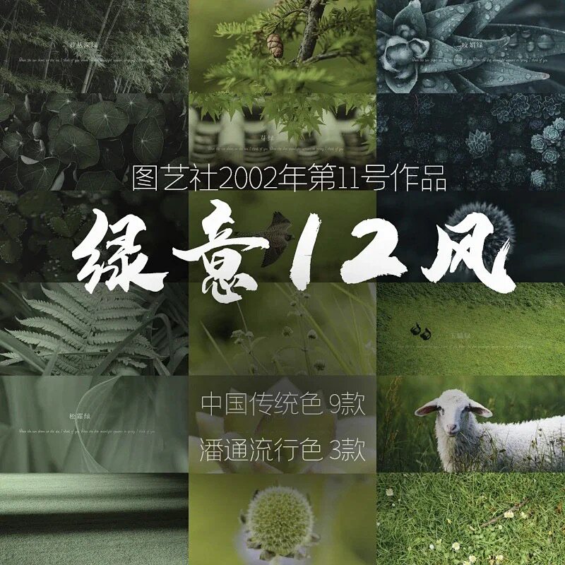 Spicy Filter Green Twelve Winds LUT Pantone BiteSmily Emerald Green Pine Cream Green Preset PS PR Da Vinci