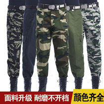 Camouflage pants mens spring and autumn loose multi-pocket construction site wear-resistant high waist large size labor insurance pants straight overalls outdoor