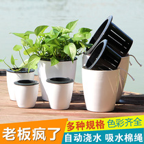 Automatic absorbent lazy flower pot imitation pottery plastic basin green planting hydroponic large resin basin black and white color dinosaur egg