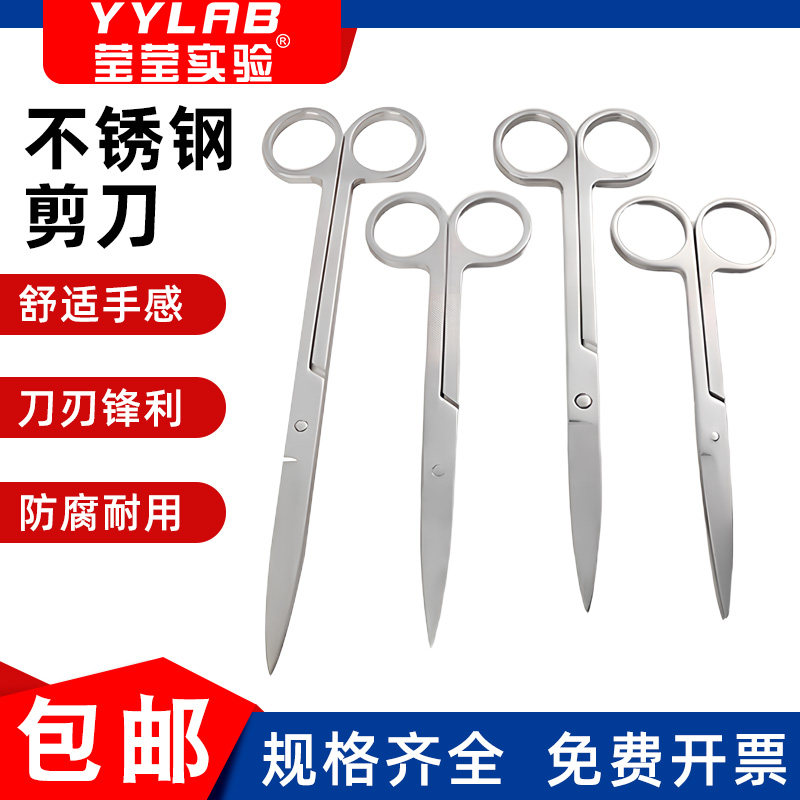 实验室不锈钢剪刀 拆线剪刀不锈钢直头直嘴剪刀12.5cm 14 16 18cm