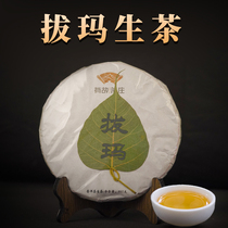Yunnan Puer tea cake Bodhi leaf Puer Puma ancient tree tea 357G Yunnan specialty Qizi Cake Tea
