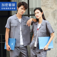 Серый летний короткий набор (зашифрованная модель)