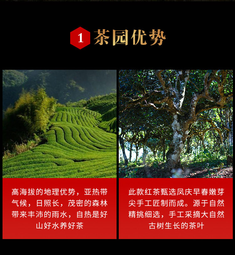 Подробная информация о Yunnan Red Golden Needle_11.jpg
