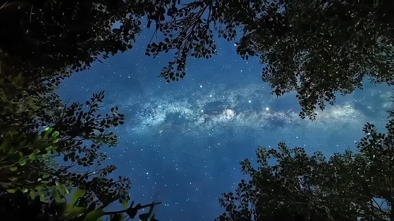 电脑壁纸 (21)
