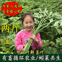  Japan tomorrow fresh stems and leaves containing chalkone Own farm Natural agricultural cultivation Healthy food supplement full nutrition