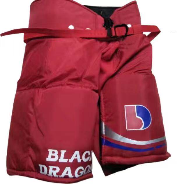 товар из китая 黑龙品牌冰球护具 专业青少年儿童冰球护具 入门级冰球护具 Black Dragon