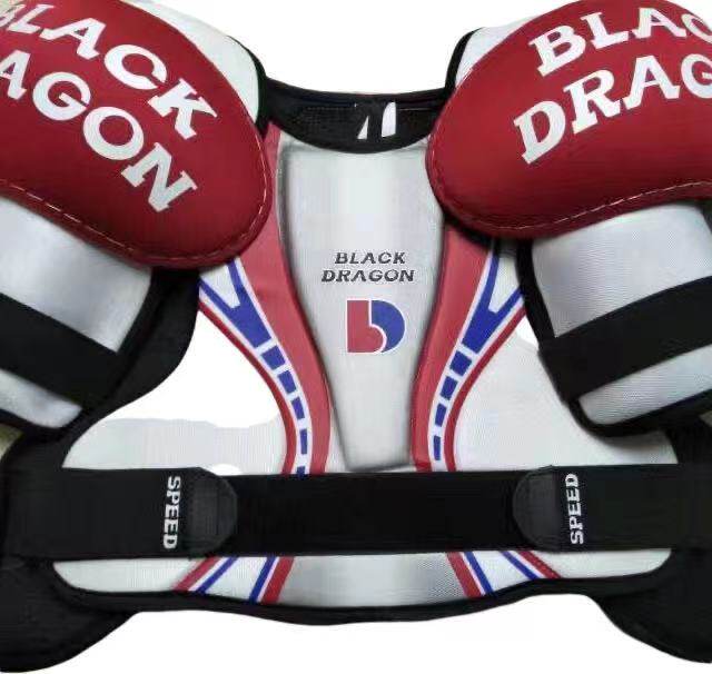 товар из китая 黑龙品牌冰球护具 专业青少年儿童冰球护具 入门级冰球护具 Black Dragon