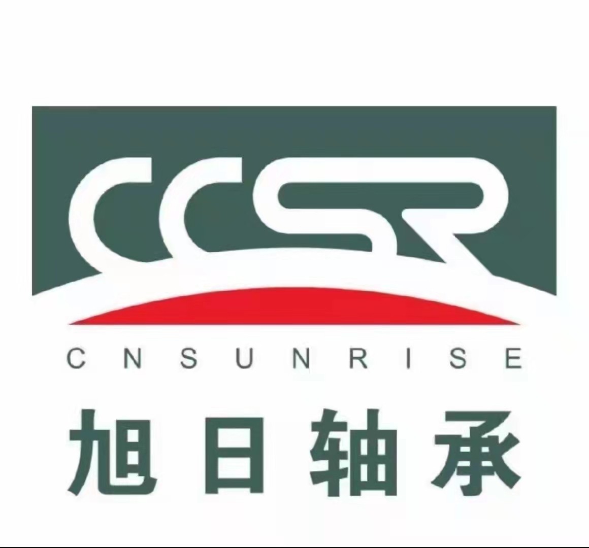 Rising sun bearing 6302 6303 6304 6305 6306 6307 6309 6311 6312 plastic cover