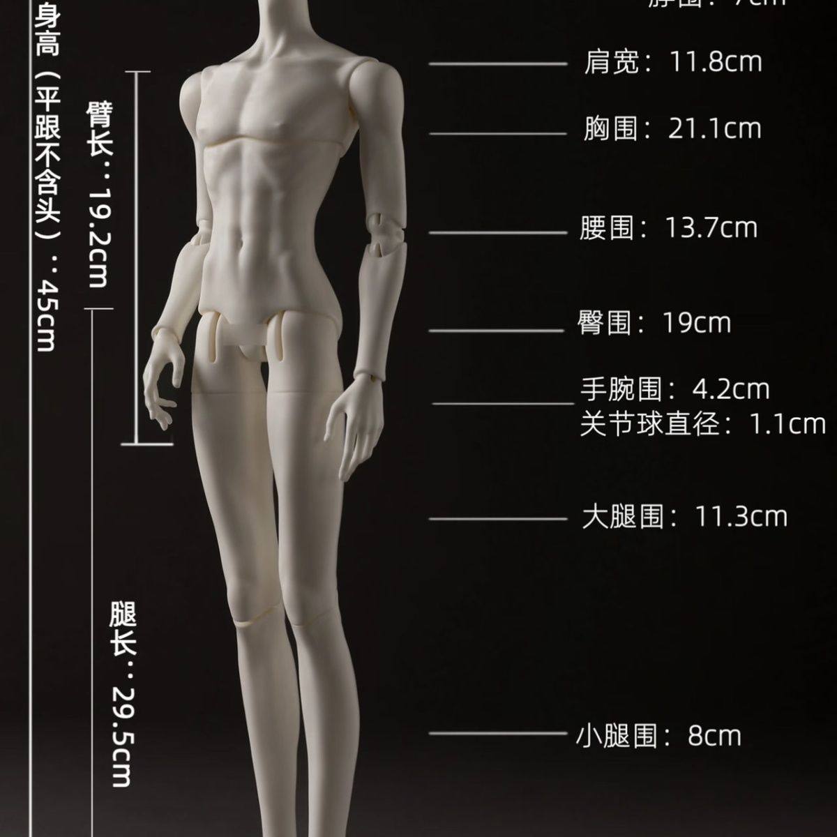 Double Anti-Stain Natural Resin BJD 1/4 Male Body, 4-Scale Dog Body/Special Bodhisattva Body, Free Shipping Product view