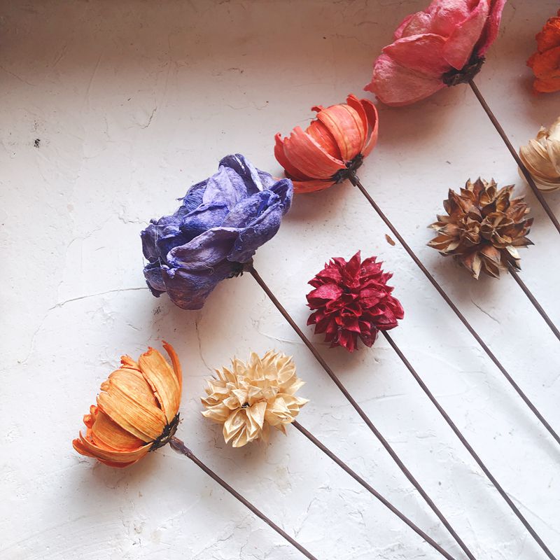 INS Nordic simple fresh adhesive dry flower simulation flower immortal flower restaurant home decoration