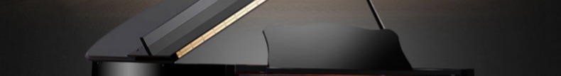 Đàn piano Spyker mới của Châu Âu thủ công thương mại đại học chuyên nghiệp trình độ chuyên nghiệp grand piano 186TG - dương cầm giá đàn piano điện