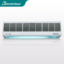 Theodoor natural wind series Commercial silent big wind wind speed air curtain Air curtain machine