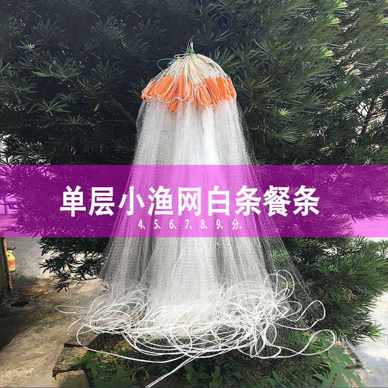 Fishing net sticky net single-layer fishnet wire mesh dipped net 4 points 5 points 6 points 7 points 8 points 9 points dense net small white strips to catch small fish eyes