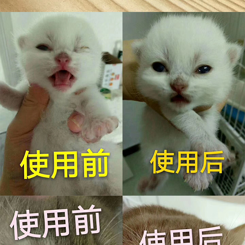 Thuốc nhỏ mũi mũi thuốc nhỏ mắt mèo nước mắt tốc độ thuốc cảm lạnh thuốc mũi mũi herpes virus - Thuốc nhỏ mắt thuốc nhỏ mắt cravit
