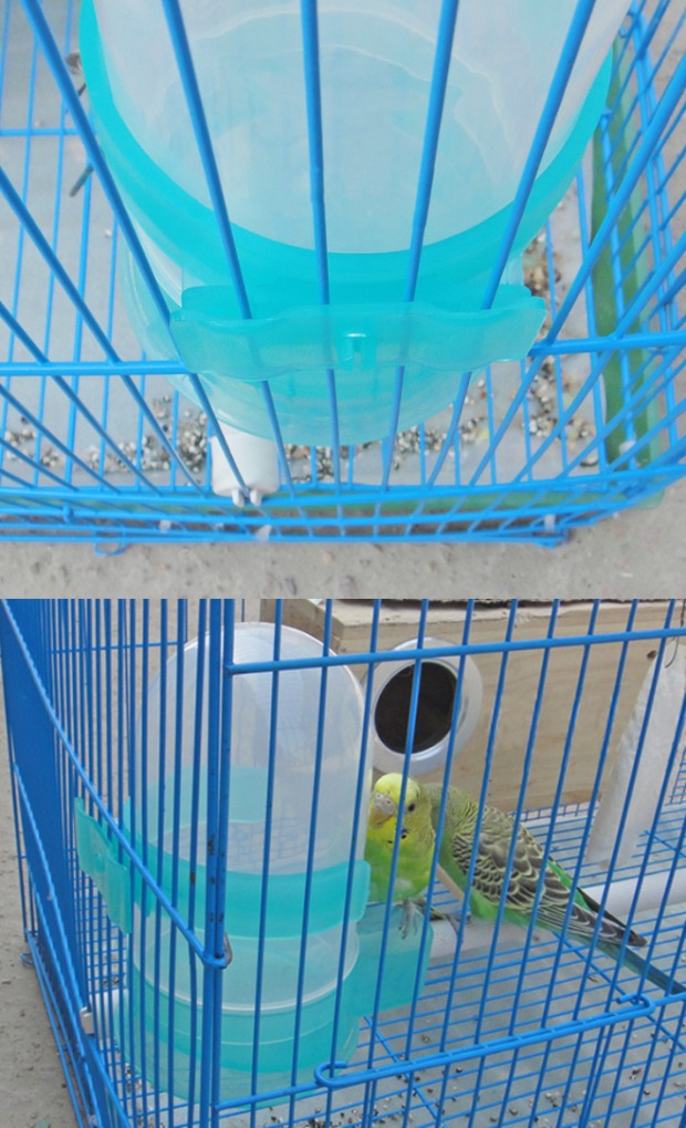 Chim bồ câu uống vòi nước uống chai nước thiết bị cho ăn tự động để uống hai lần chim máng thư cung cấp chim bồ câu - Chim & Chăm sóc chim Supplies thức ăn của chim