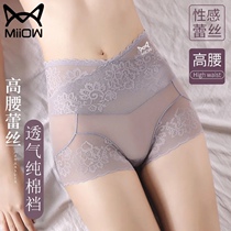 Cat Human Cat Human High Waist Lace Pants Woman Sense Hollowed-out 100% All cotton Antimicrobial Tiglutes Closeout Without Marks and breathable