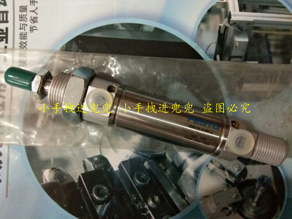 FESTO Supply Cylinder DSN-12-25P 5048