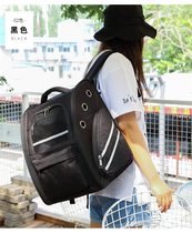 Pet Out Bag Kitty Dogs Out Portable Double Shoulder Backpack Outside with Case Cage Breathable Big Space Capsule