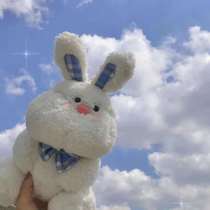 ins Bear doll Cute net Red Rabbit Plush toy Bear doll Children girl Day Valentines Day gift