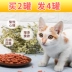 Mèo Mint Cookies Bánh quy cá nhỏ Mèo con Mèo Molar Cá mèo Ăn vặt Bánh quy 150g Mua 2 Tóc 4 - Đồ ăn nhẹ cho mèo Đồ ăn nhẹ cho mèo