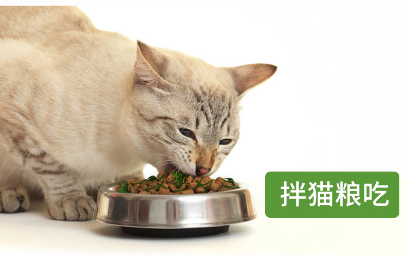 Cát cỏ hạt bạc hà bột mèo ăn nhẹ mèo tẩy lông lông bóng lúa mạch trồng lúa mì cung cấp mèo - Đồ ăn nhẹ cho mèo hạt mèo royal canin