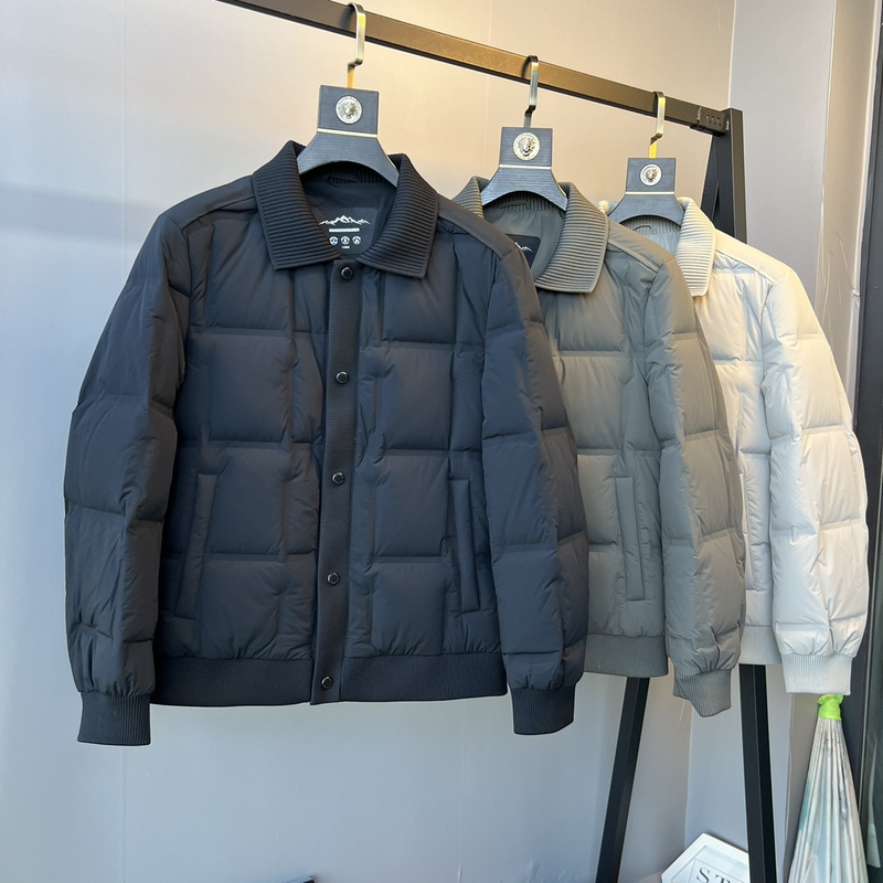 High-End Business Commuting 90 Duck down Dijia Winter New Men's Lapel down Jacket Warm Short Casual Coat