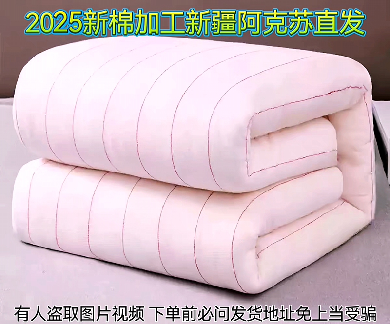 Xinjiang Cotton Quilt Core Cotton Batting Mattress Quilt Thickened Bedding Winter Quilt Warm Single Double Student