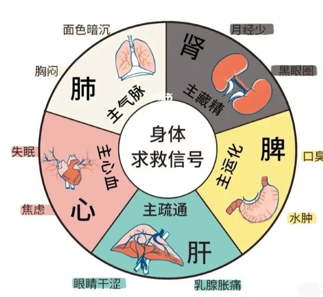 康力顺势植物养生馆