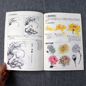 中老年人学国画入门教程 花鸟鱼虫 老年大学教材教程书籍 夕阳红国画入门基础 老年人零基础学画国画教程