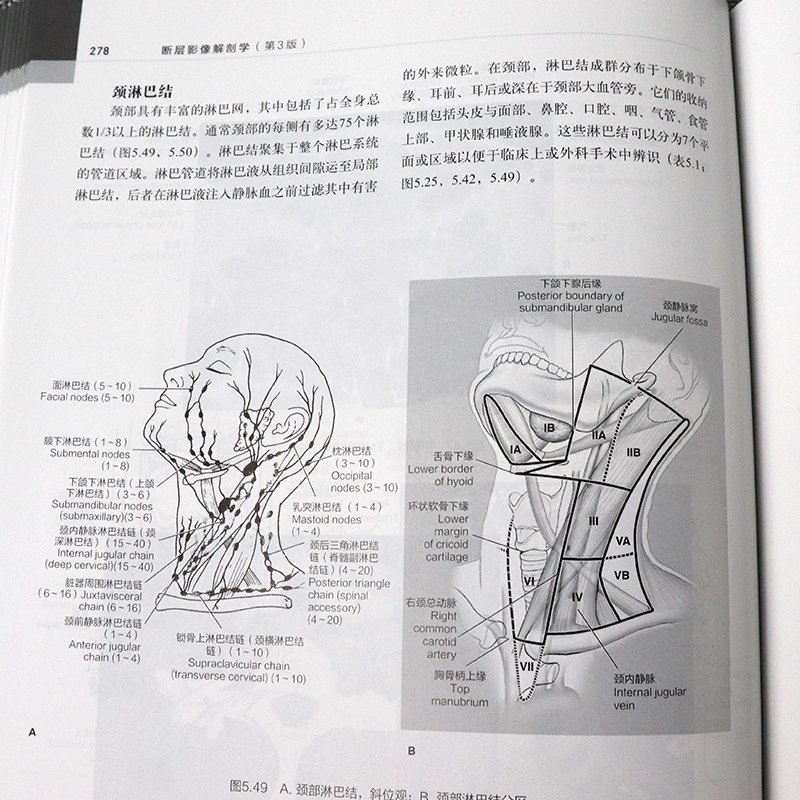 影像解剖学 第3版+ 断层影像解剖学 医学影像解剖学 影像解剖学图解 人体断层影像解剖学 断层影像解刨学 人体断层影像解刨学 x线