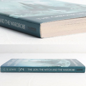 正版 The Lion the Witch and the Wardrobe 纳尼亚传奇 狮子女巫与魔衣橱 青少年小说读物 C.S.路易斯 英文原版儿童读物原版书