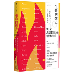 正版 生命的燃点(30位思想巨匠的顿悟时刻) 哲学知识读物重现孕育伟大思想的决定性瞬间 西方哲学西方思想史德奥托 A 波默 著