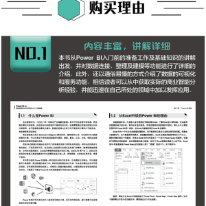 Power BI智能数据分析与可视化从入门到精通 牟恩静 李杰臣 powerbi自学书籍 Power BI基础知识 数据分析入门 智能数据分析大数据