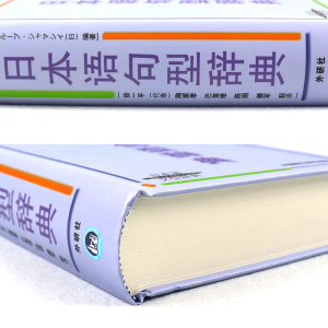 正版 日本语句型辞典 日本语文型辞典 精装 日本语文型辞典 日语学习词典日本语文型辞典 日语学习字典词典用书 外研社