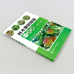正版 林木果树嫁接一本通 果树嫁接技术图解书 果树种植栽培技术书 种植技术大全书 果树修剪书籍 嫁接育苗栽培种植书 林木养护
