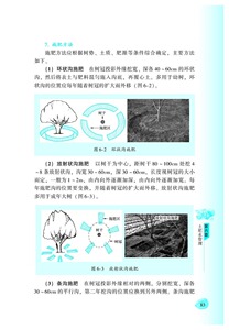 核桃gao效栽培 双彩印刷 核桃树园艺 农业科学 核桃栽培与病虫害防治 核桃苗培育园地管理 核桃种植 王天元 王昭 机械工业