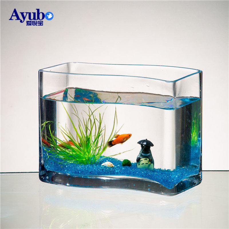 Illustration of Goldfish Tanks For Minimalist Living