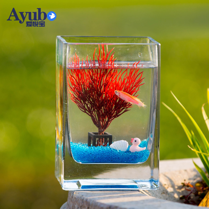 Square glass fish tank creative mini small goldfish tank bucket fish