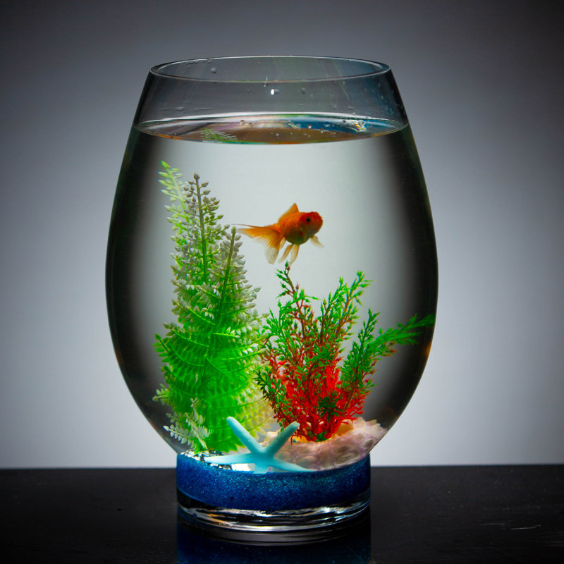 Creative fish tank aquarium aquarium round glass goldfish tank living