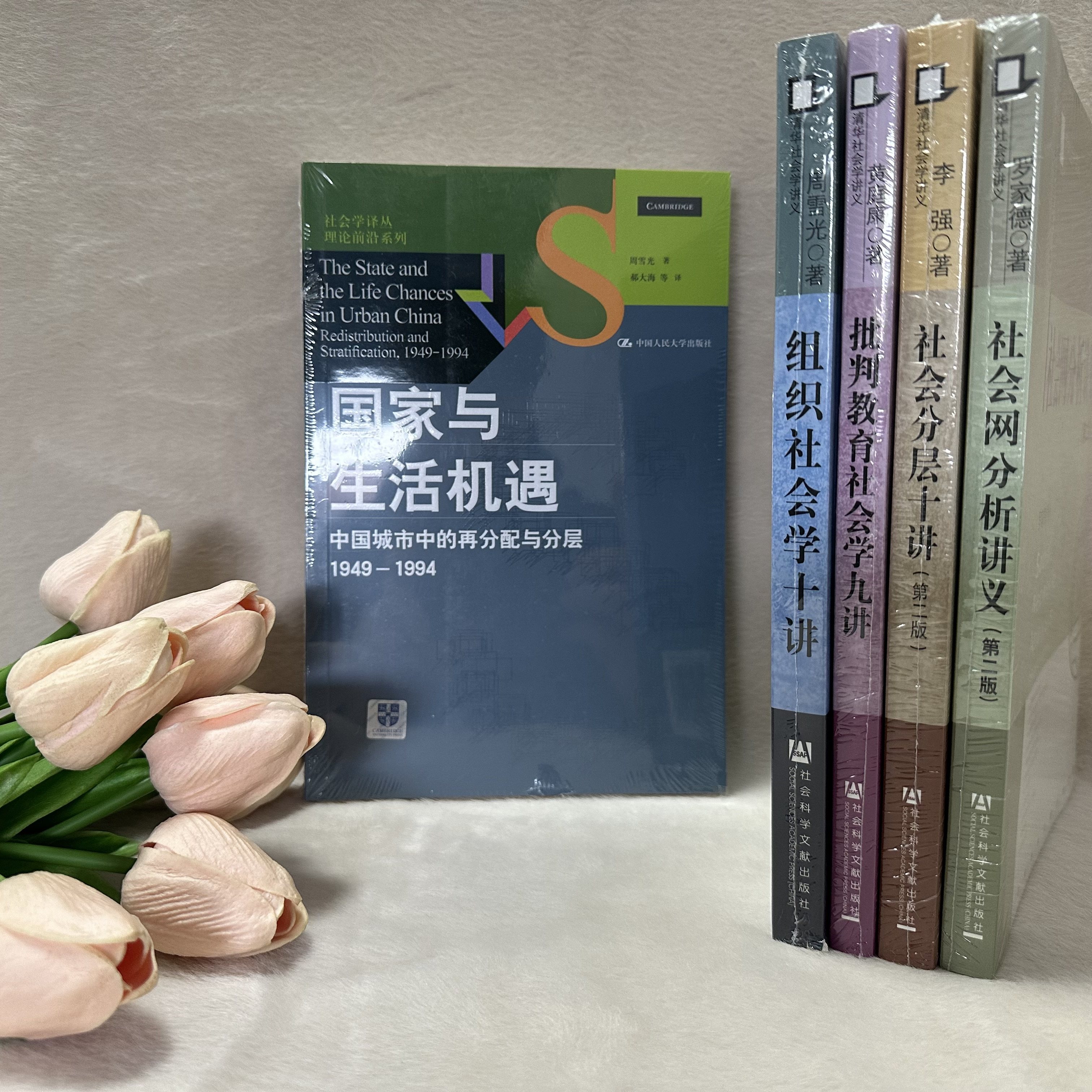 正版新书《国家与生活机遇》套装,周雪光作品集,值得收藏吗?-社会科学总论-淘宝好物网