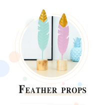 Photo Props Feather Pendulum Pieces Accessories Skin Care Products Decoration Ins Nets Red Medecine Gourmet Photography Shooting Props