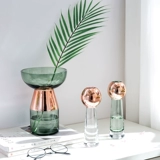 Nordic ins Simple Transparent Glass Vase Vase Living Room Стол обеденный стол дом сухой цветочный распорядок украшения