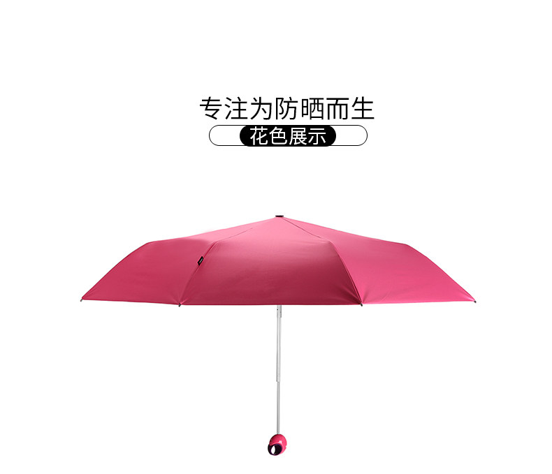 802 Новое обновление подробности_18.jpg