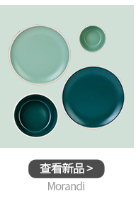 Modern housewives morandi Nordic creative matte enrolled porcelain tableware household steak plate flat white big plate
