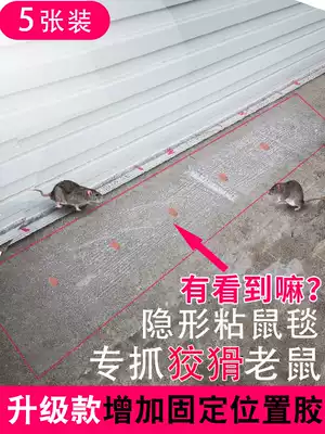 The sticky mouse board super strong dip mouse double-sided tape blanket medicine household enlarged thickened rodenticide a nest of artifact