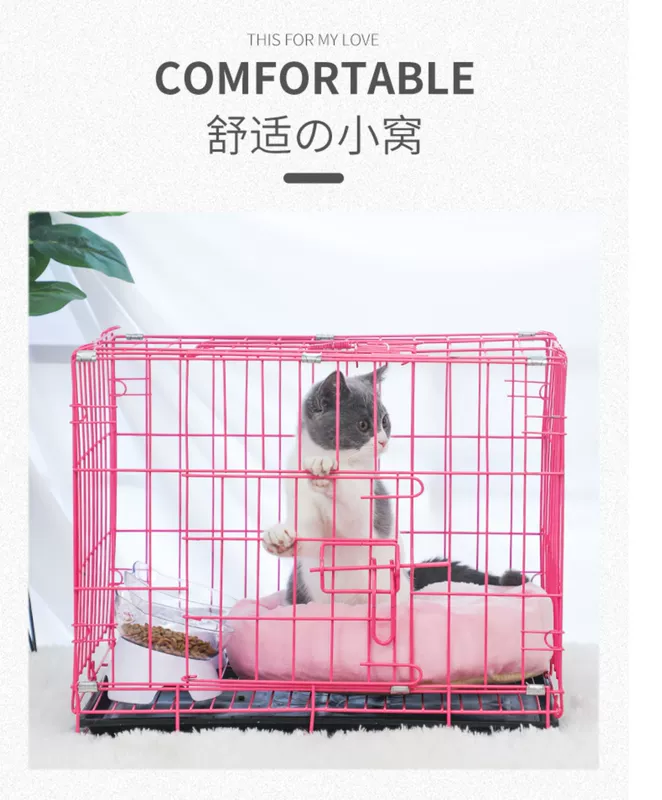 Chó lồng Teddy Bomei chó nhỏ chó trung bình hơn gấu trong nhà vật nuôi mèo lồng mèo nhà mèo - Cat / Dog hàng ngày Neccessities