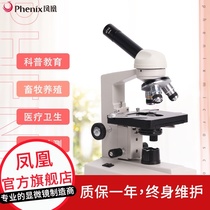  Phoenix monocular biological microscope XSP-35 Professional optical 1600 high-power student science and technology detection